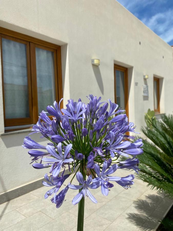 B&B La Mia Isola Castelluzzo Exteriör bild